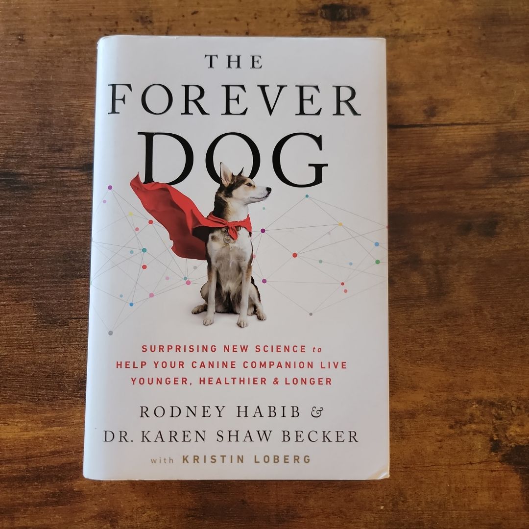 The Forever Dog
