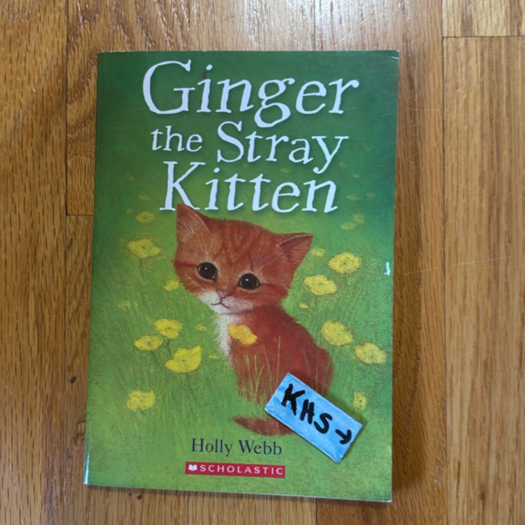 Ginger the Stray Kitten