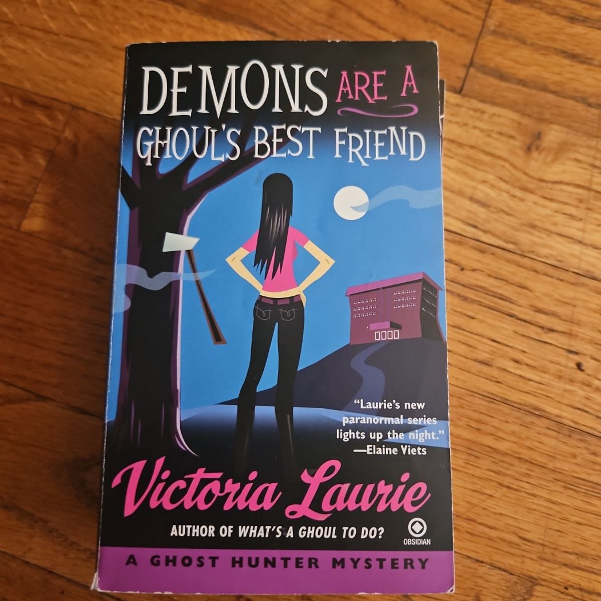 Demons Are a Ghoul's Best Friend by Victoria Laurie