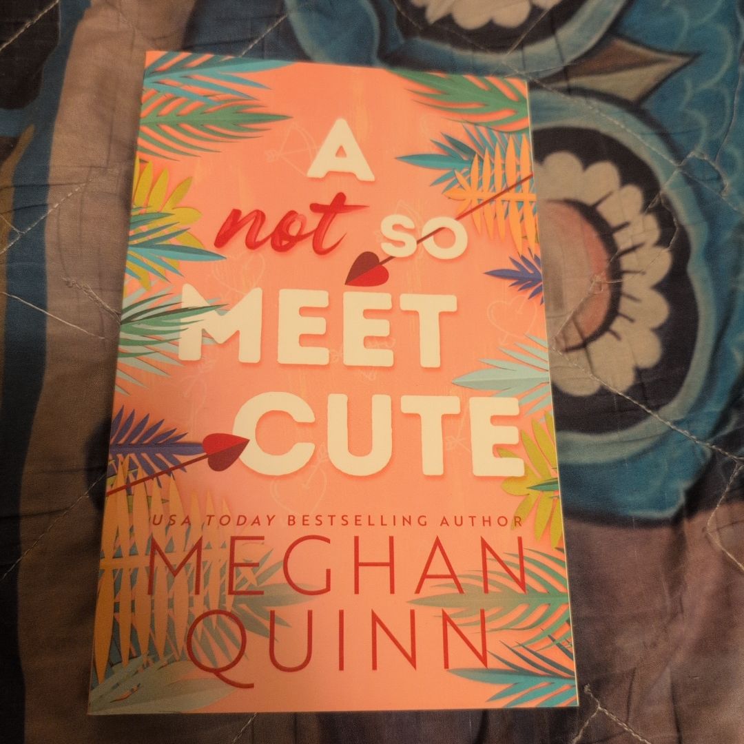 A Not So Meet Cute