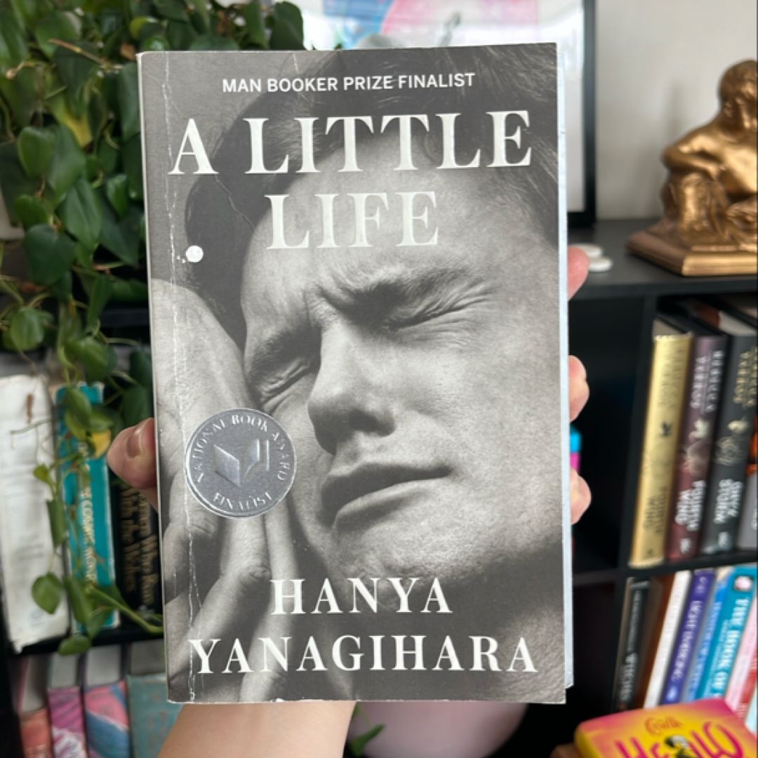 A Little Life