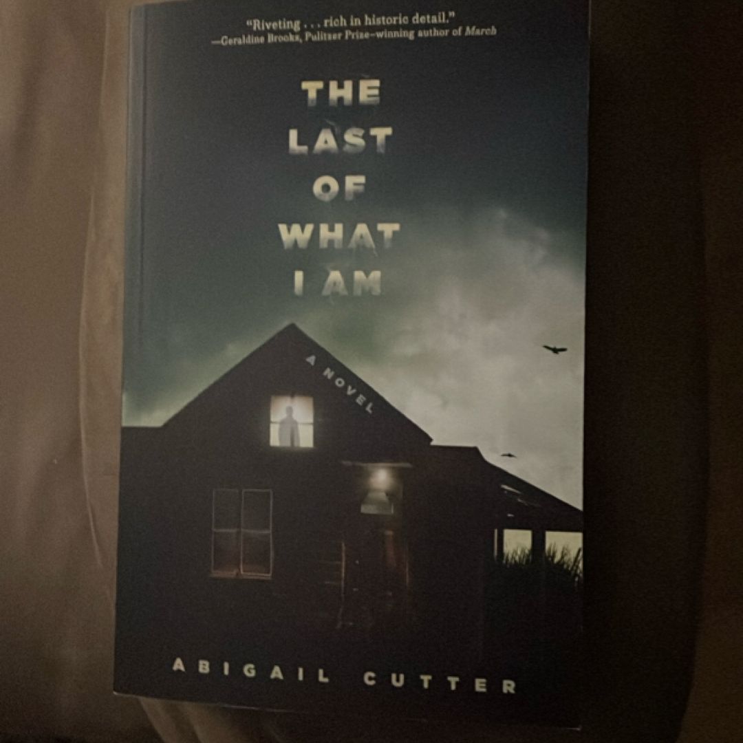 The Last of What I Am