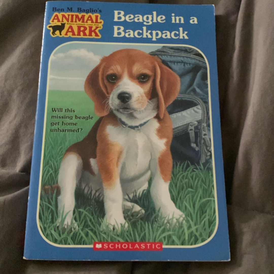 Beagle in a Backpack
