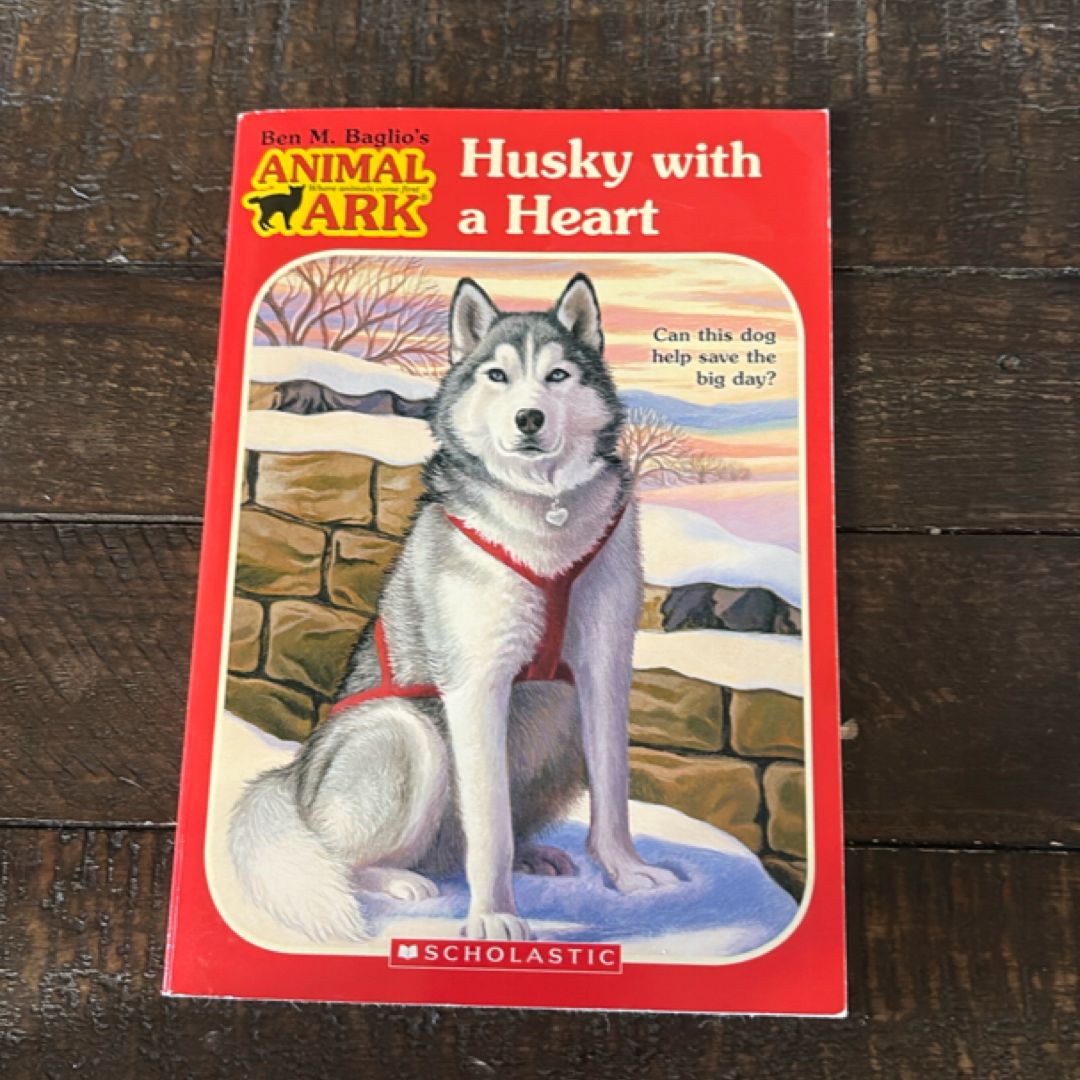 Husky with a Heart