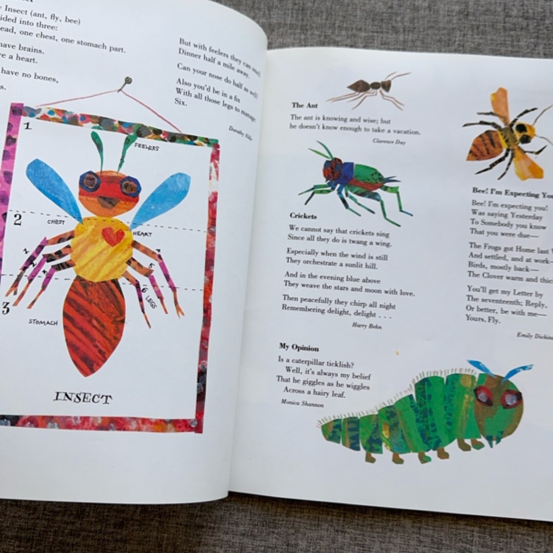 Eric Carle's Animals Animals