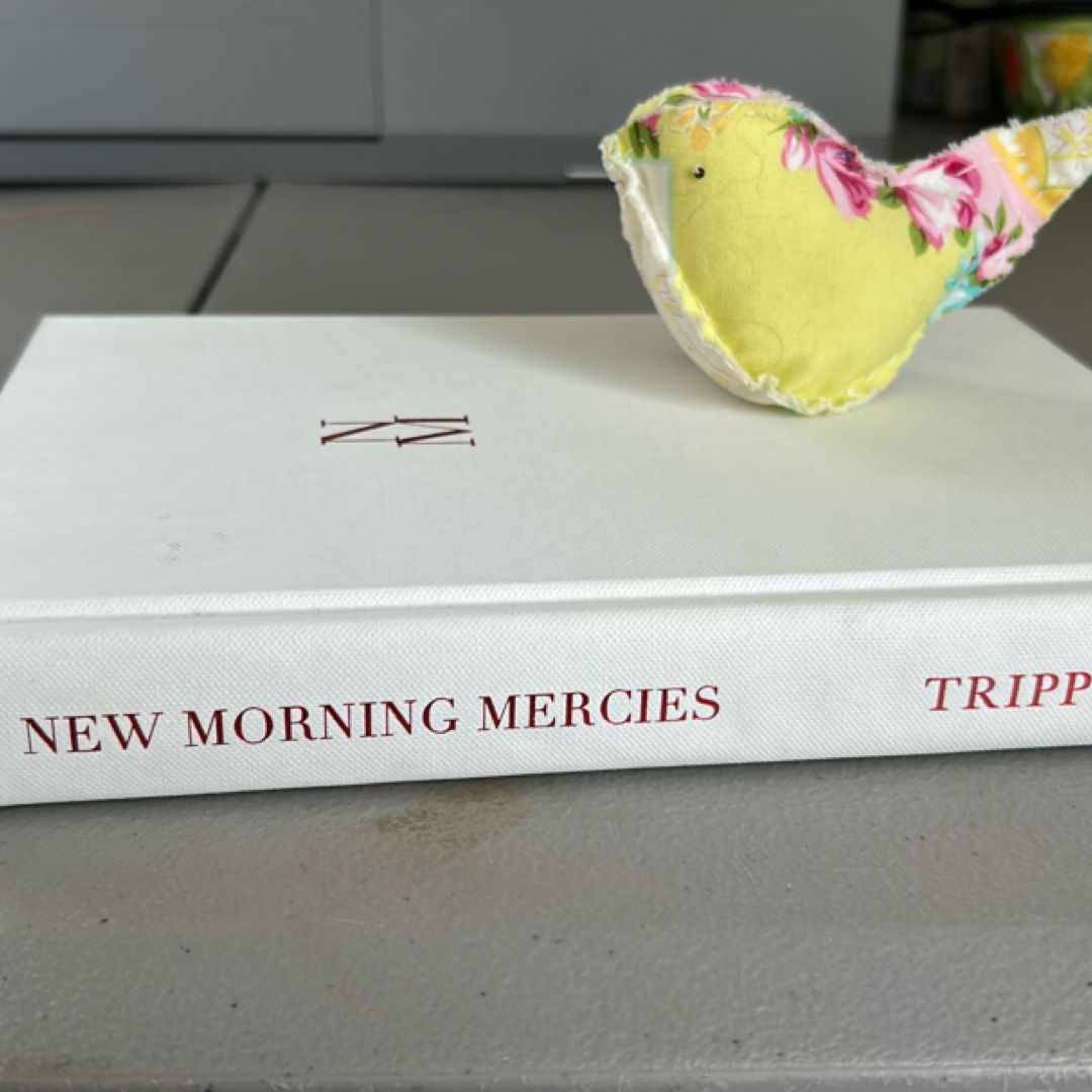New Morning Mercies