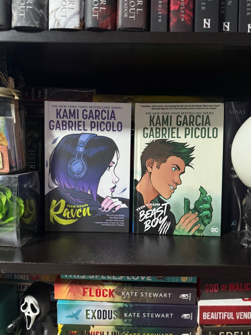 Teen Titans: Raven and Beast Boy HC Box Set