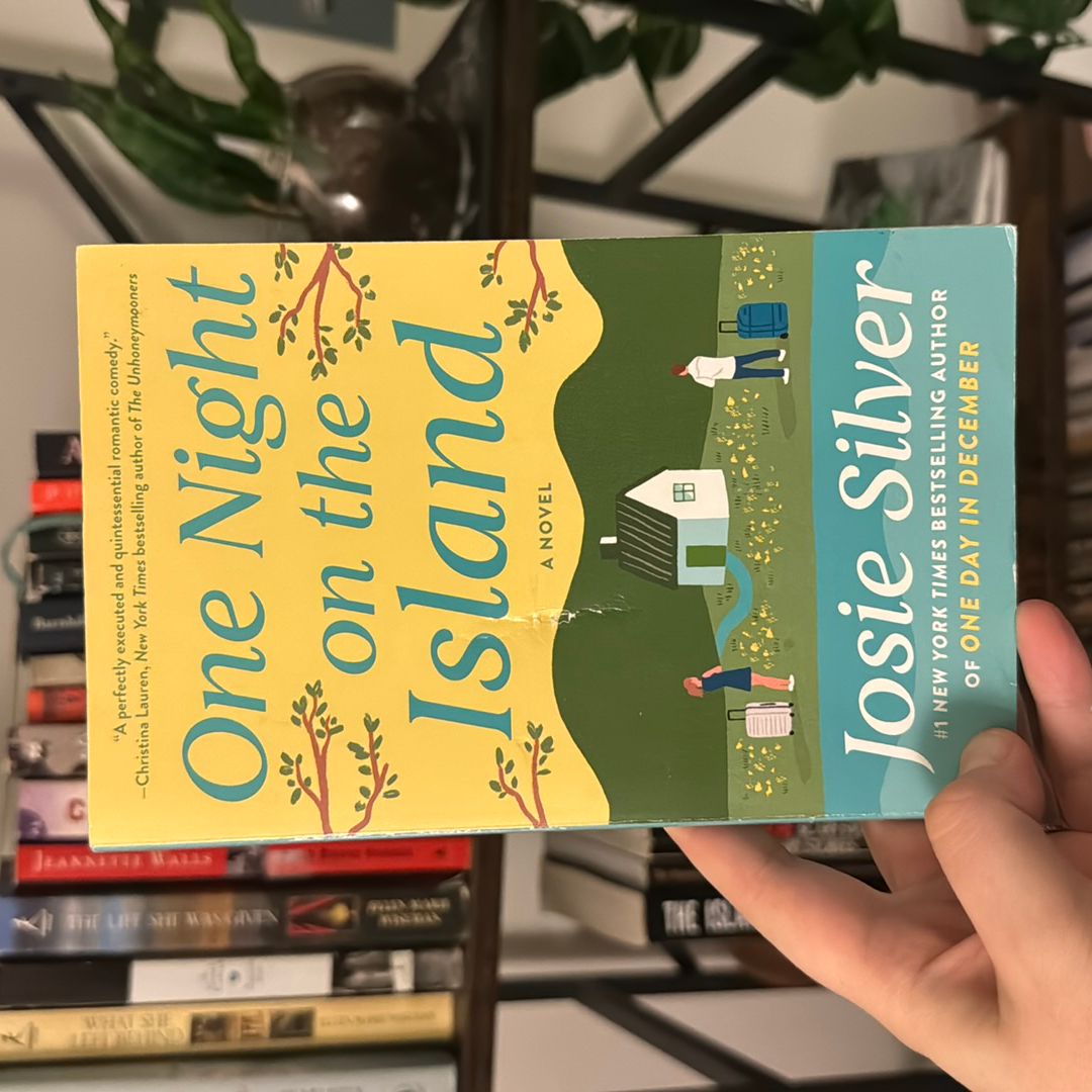 One Night on the Island