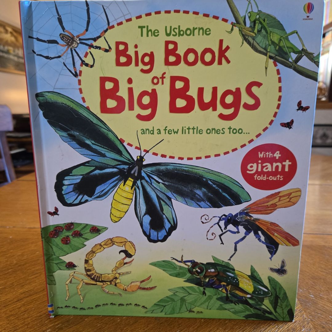 Big Book of Big Bugs