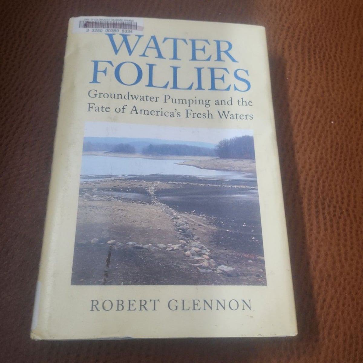 Water Follies by Robert Jerome Glennon