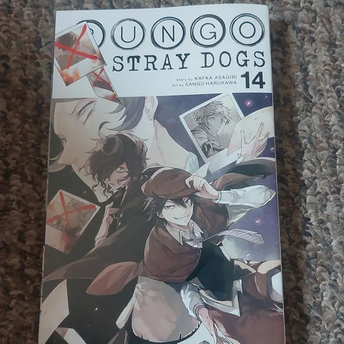 Bungo Stray Dogs, Vol. 14