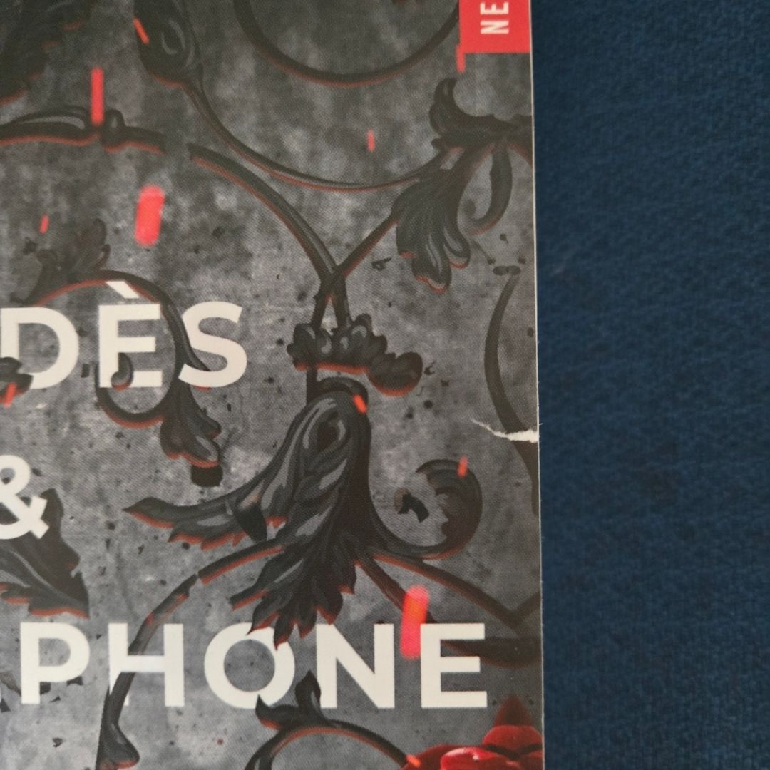 Hadès et Perséphone - Tome 04: A touch of Chaos