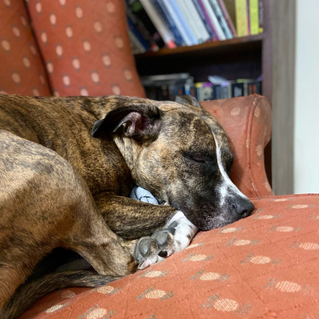 Ruthie’s Reads