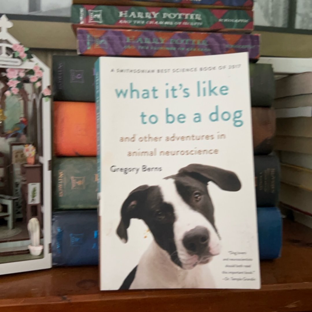 What It's Like to Be a Dog