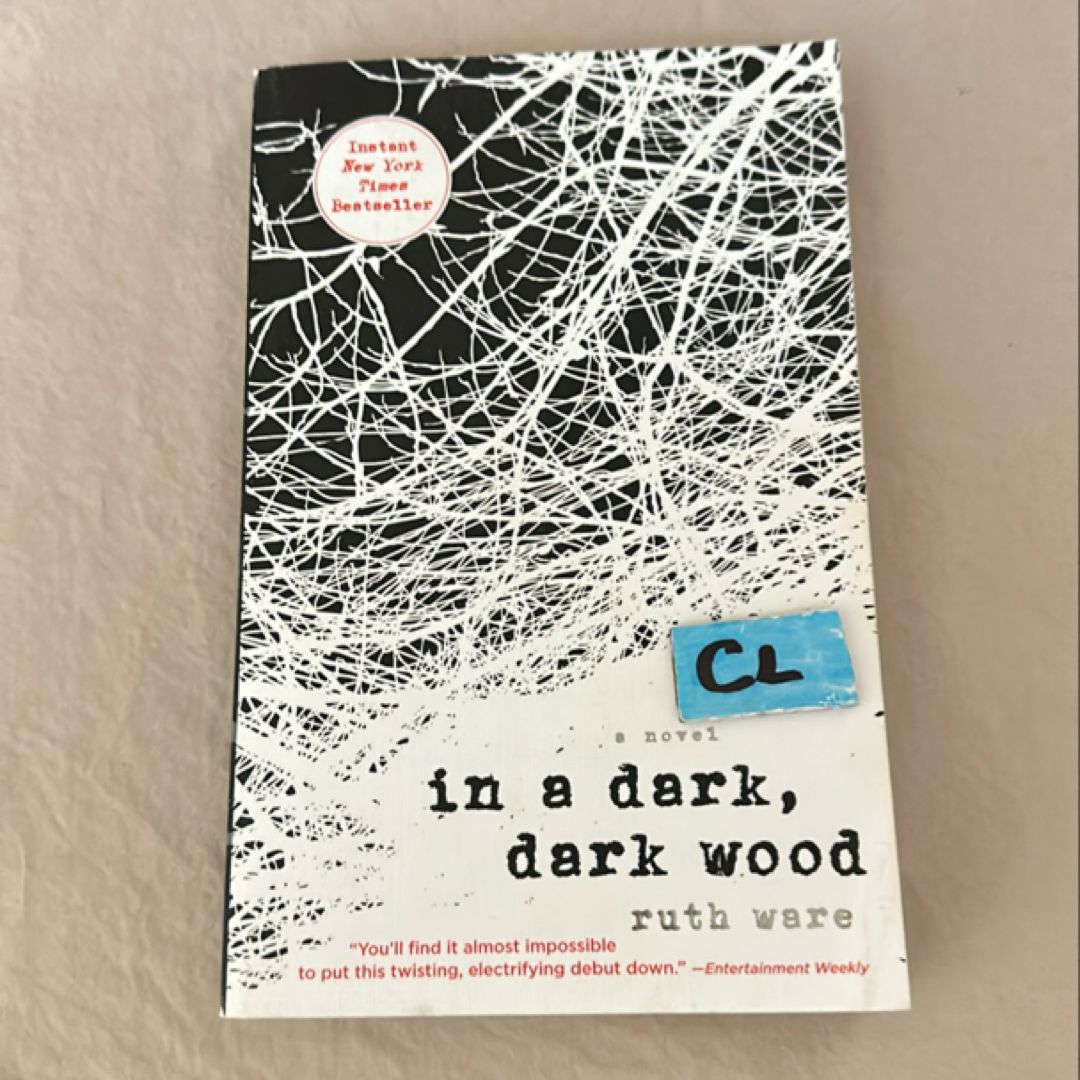 In a Dark, Dark Wood