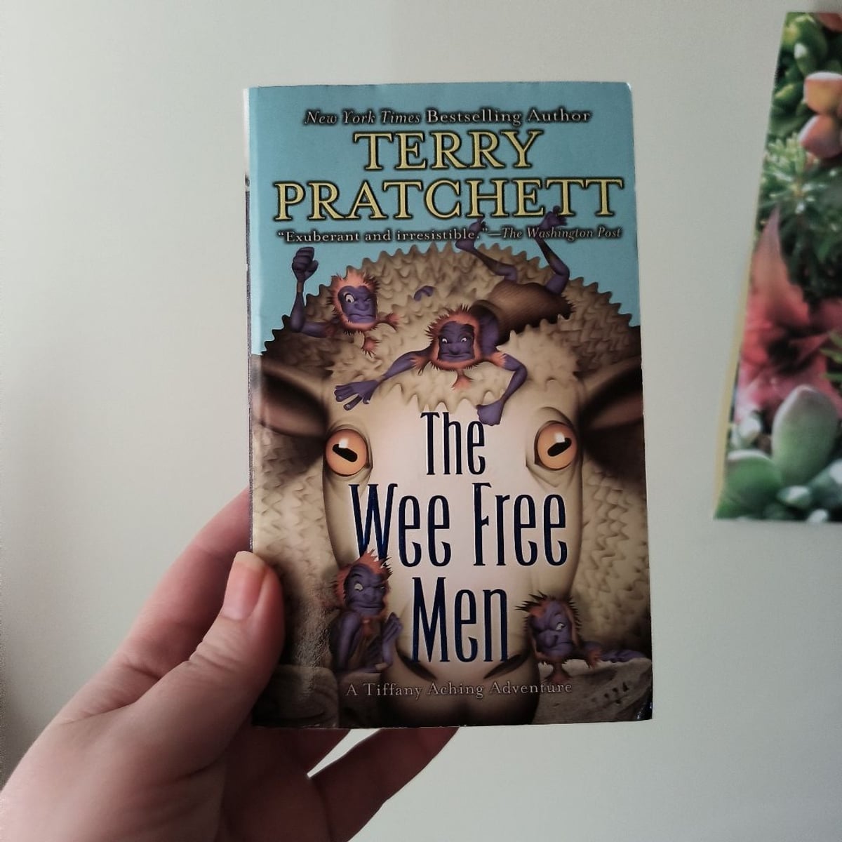 The Wee Free Men by Terry Pratchett
