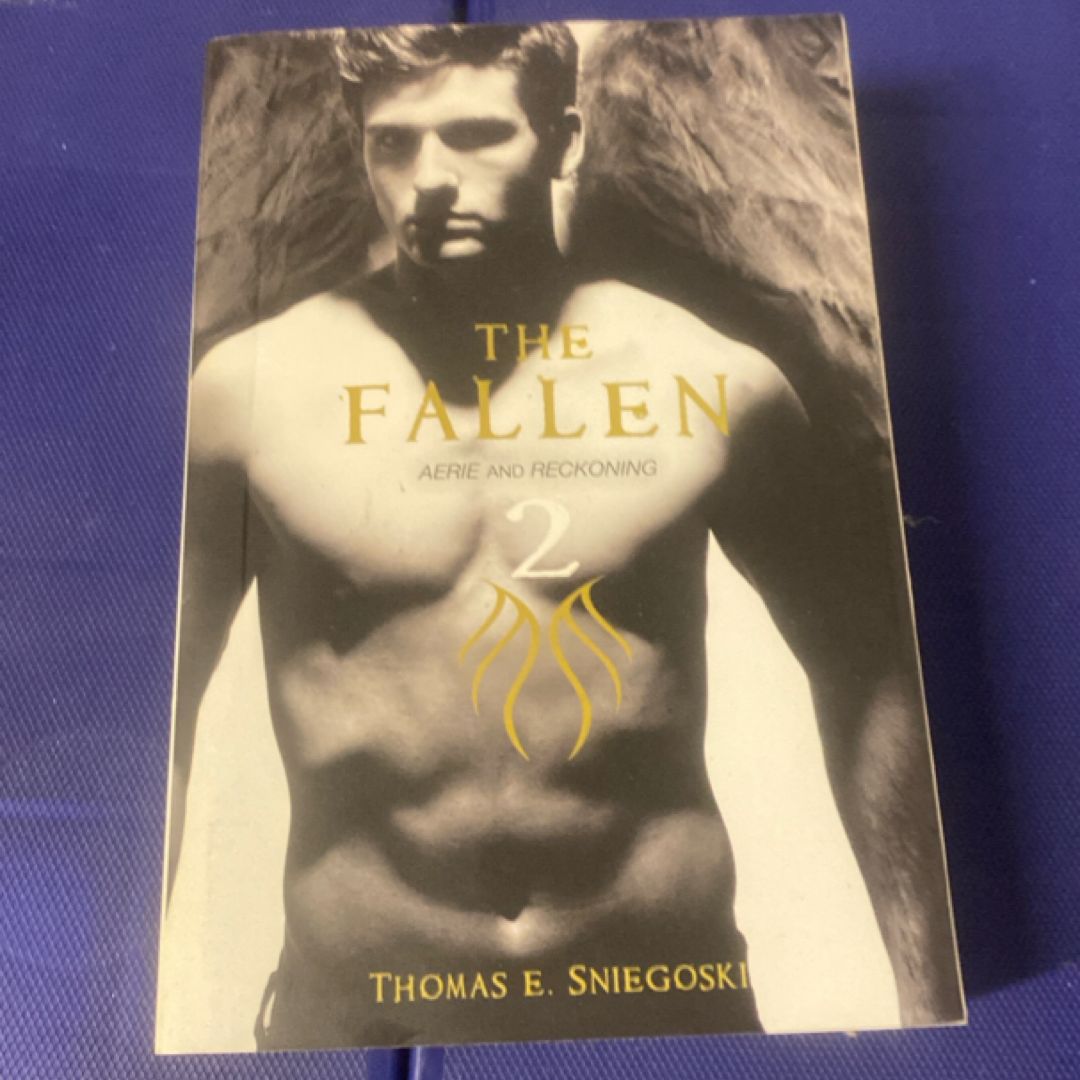 The Fallen 2