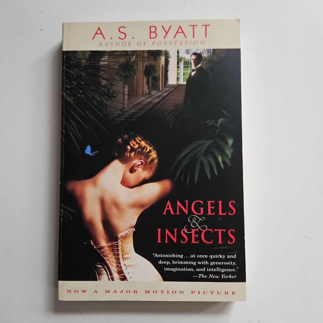 Angels and Insects