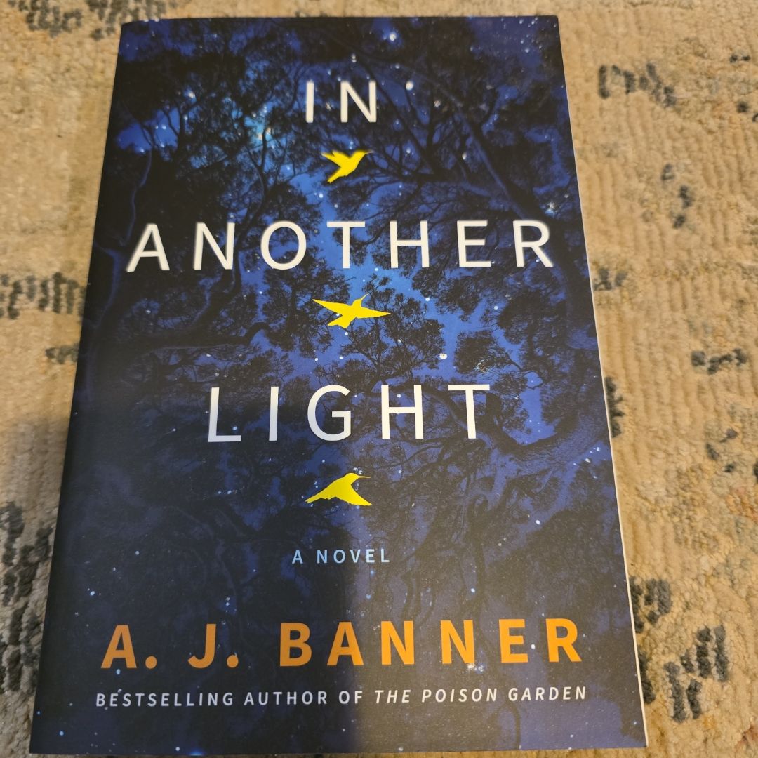 In Another Light