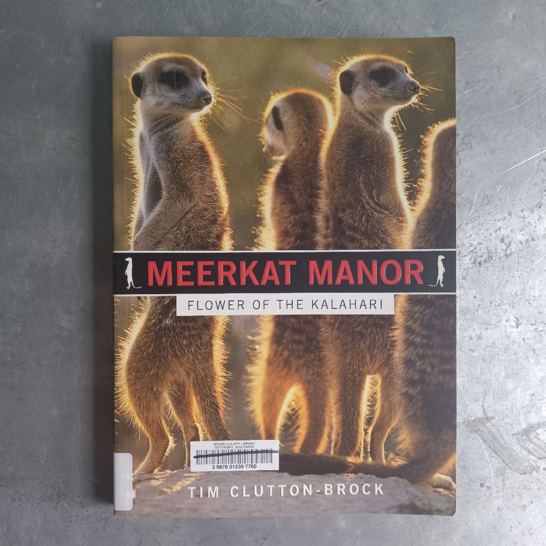 Meerkat Manor