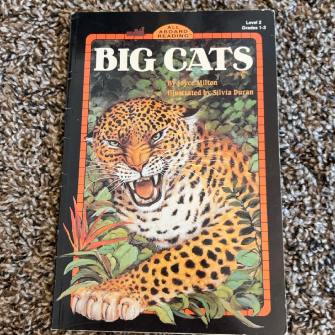 Big Cats 