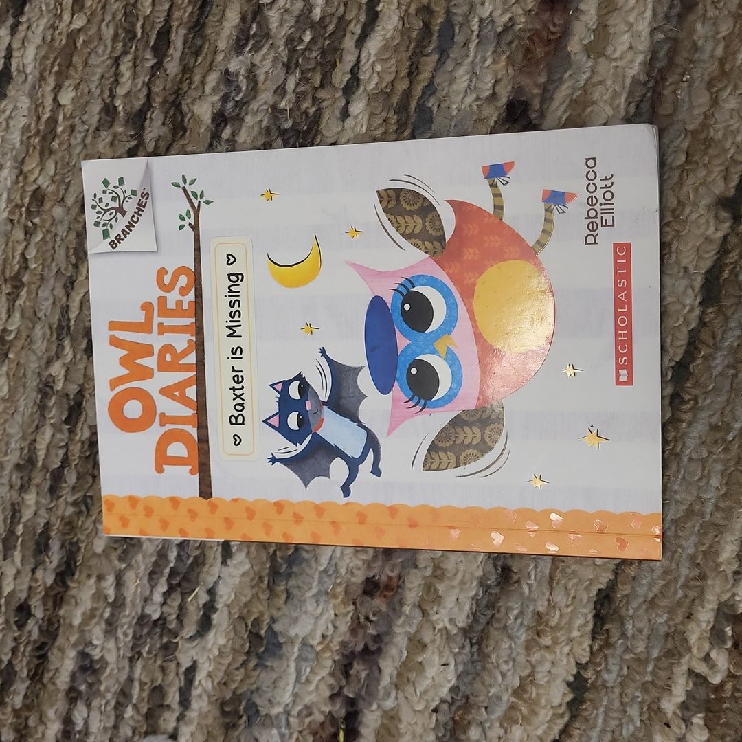 Baxter Is Missing - A Branches Book