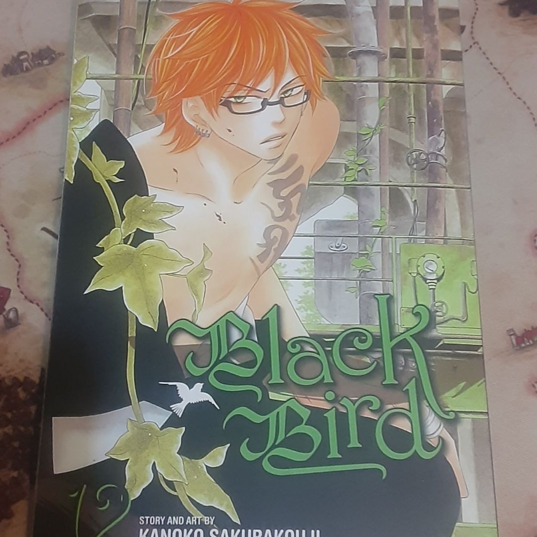 Black Bird, Vol. 12