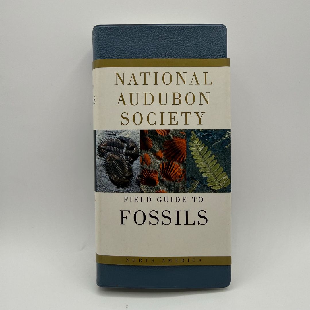 National Audubon Society Field Guide to Fossils
