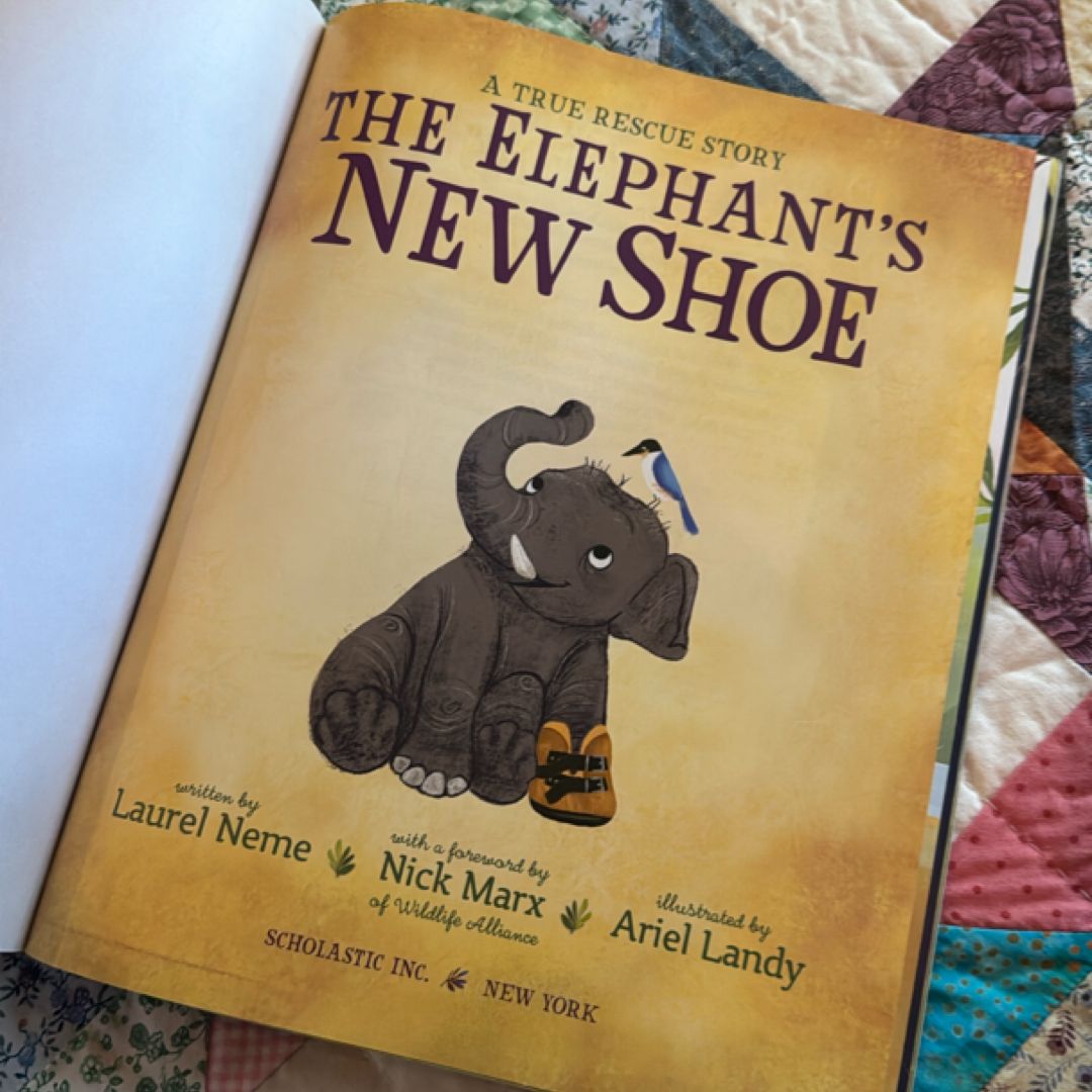The Elephant's New Shoe