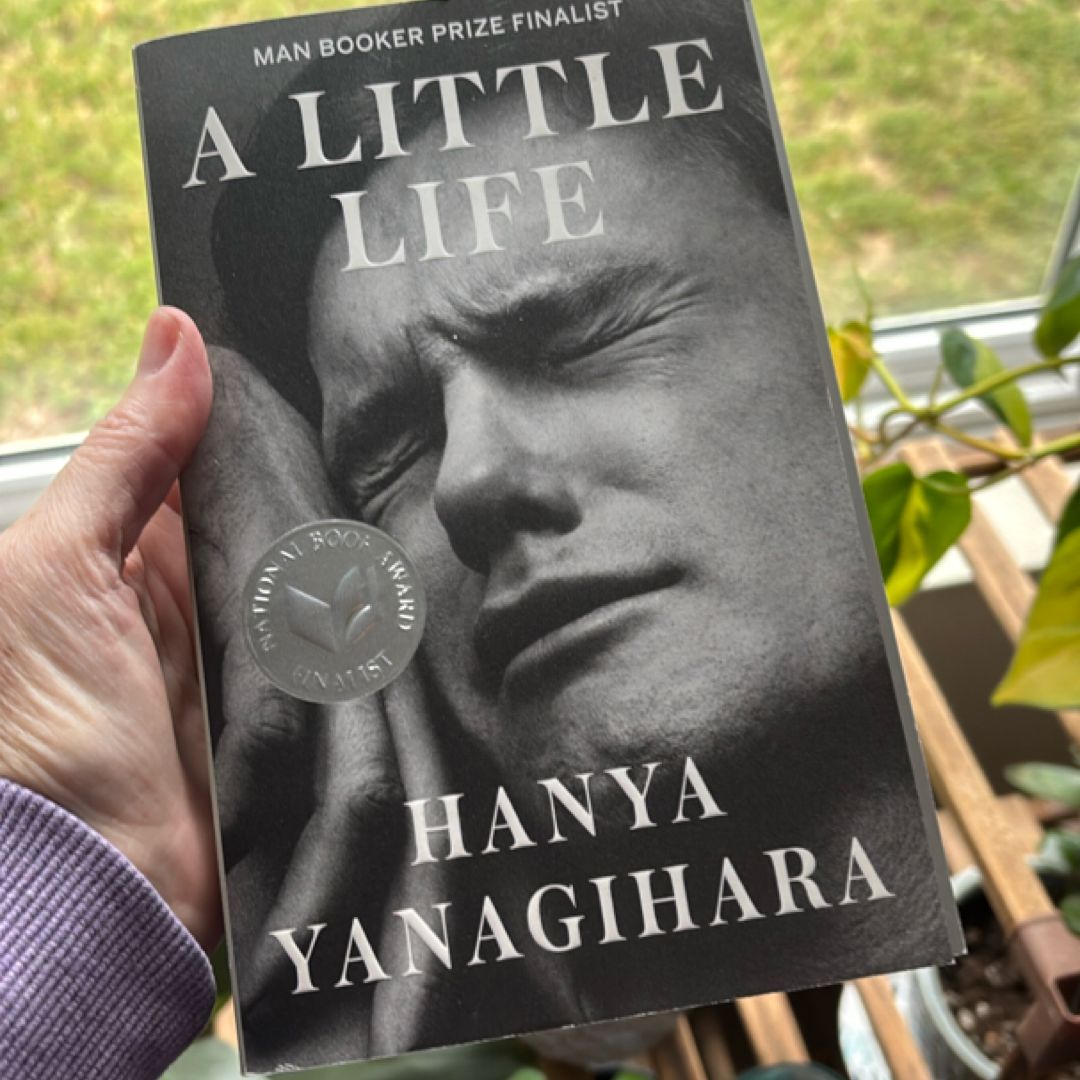 A Little Life