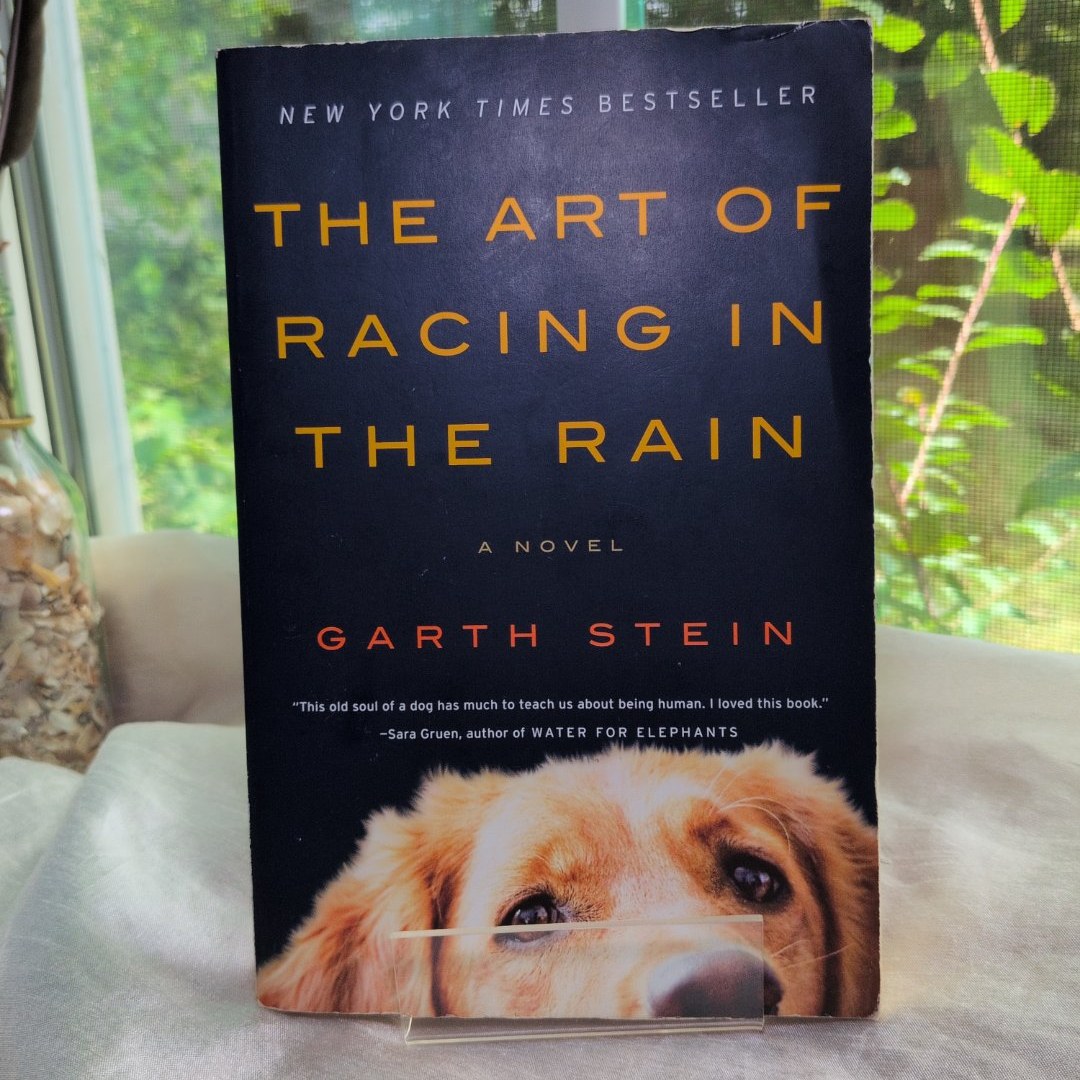 The Art of Racing in the Rain