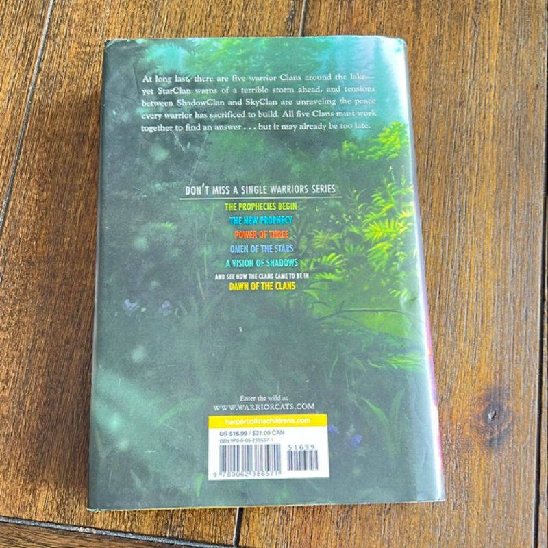 Warriors: a Vision of Shadows #6: the Raging Storm