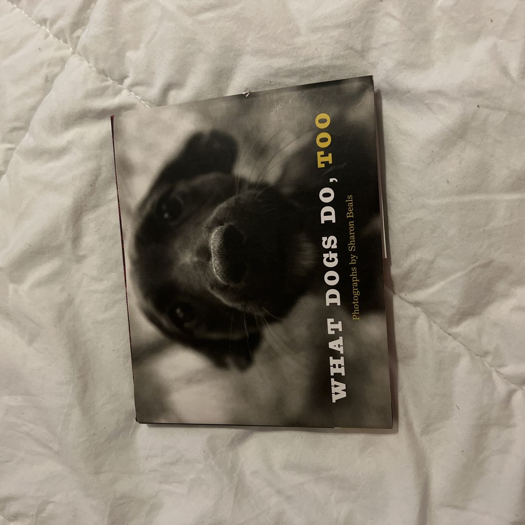 What Dogs Do, Too