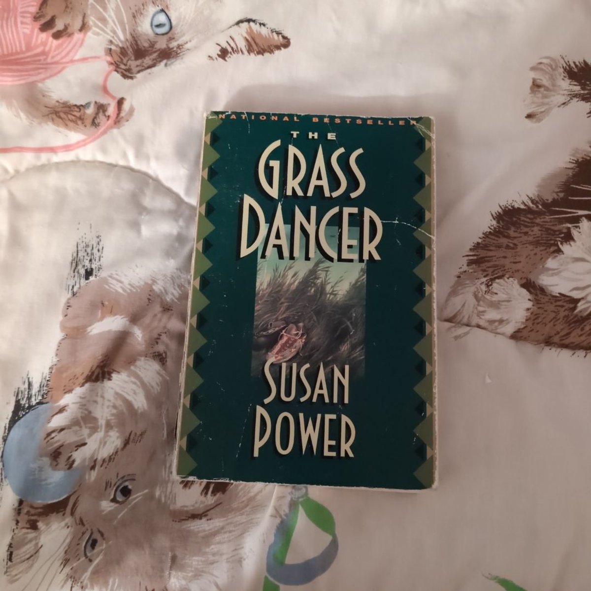 The Grass Dancer by Susan Power