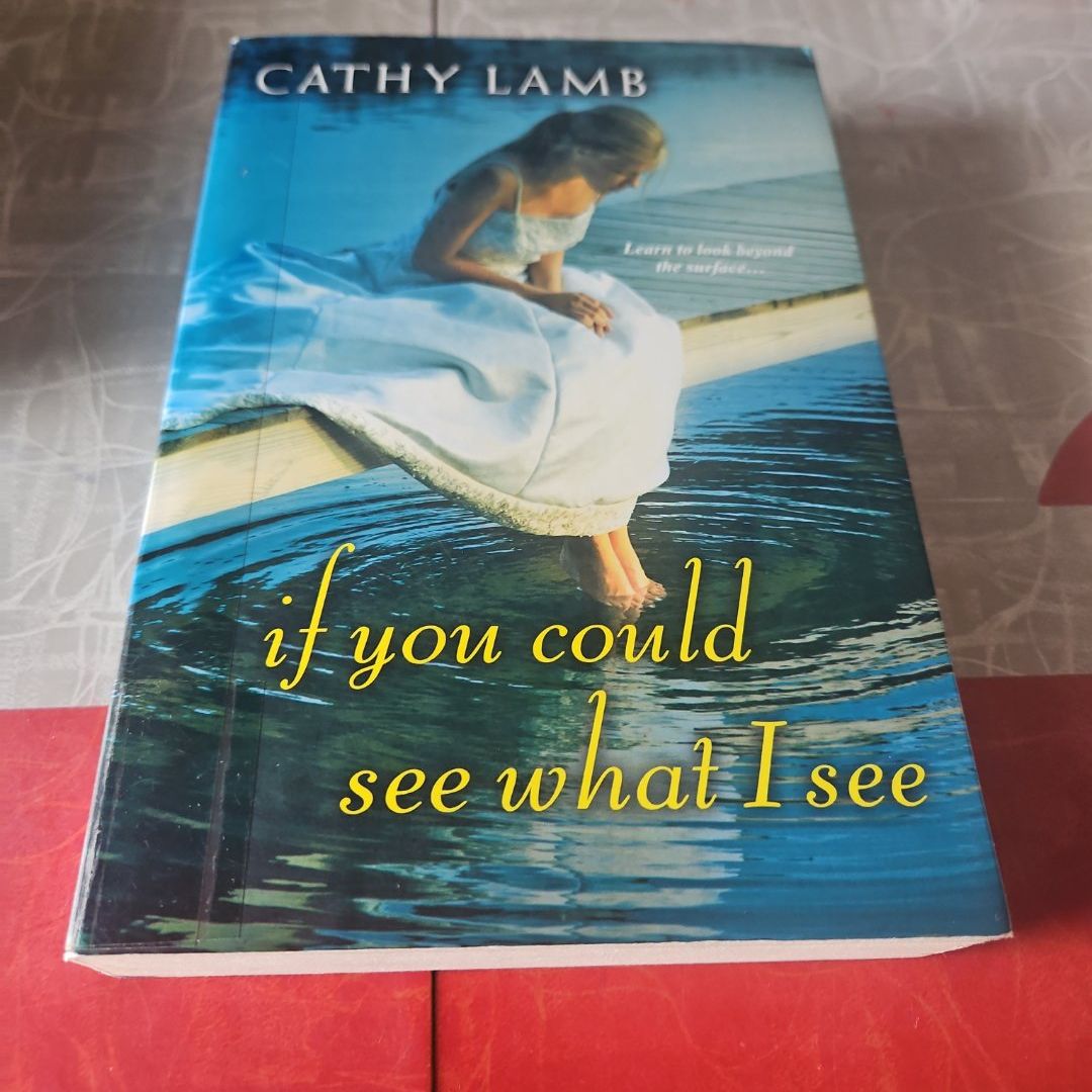 If You Could See What I See