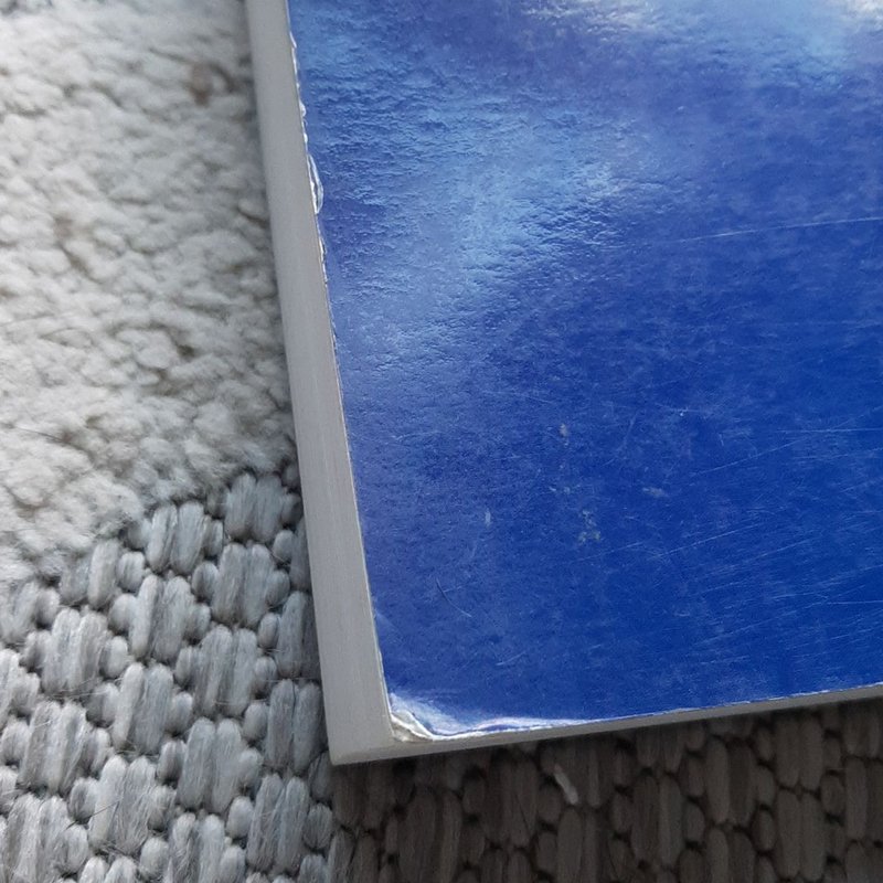 Unpainted to the Last