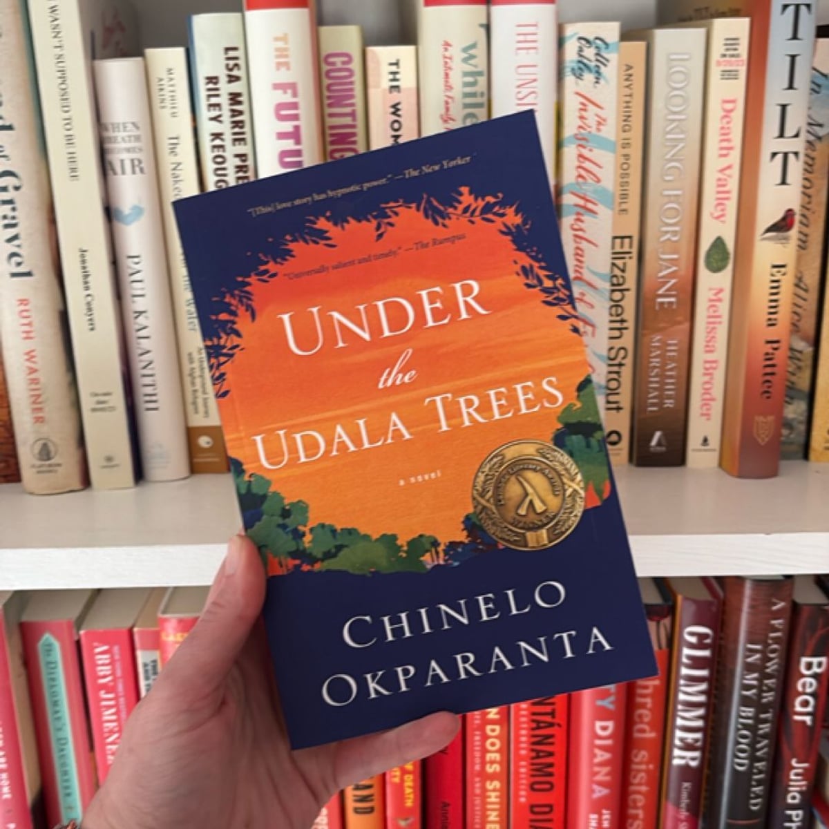 Under the Udala Trees by Chinelo Okparanta
