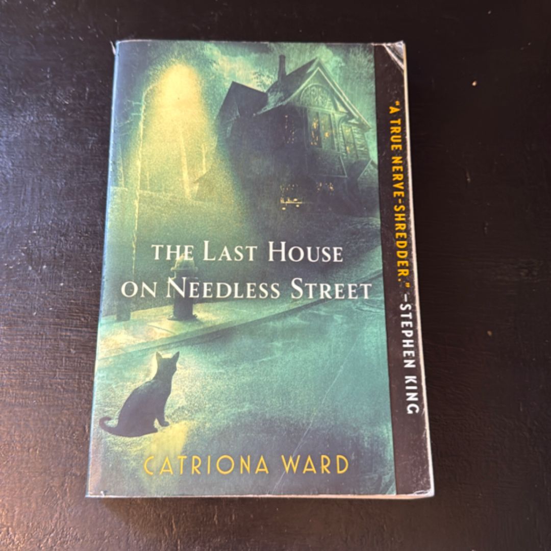 The Last House on Needless Street