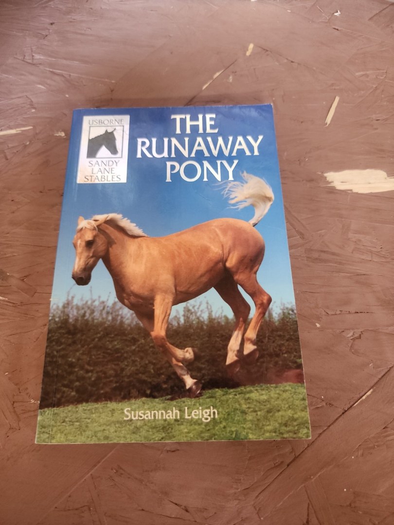 Runaway Pony