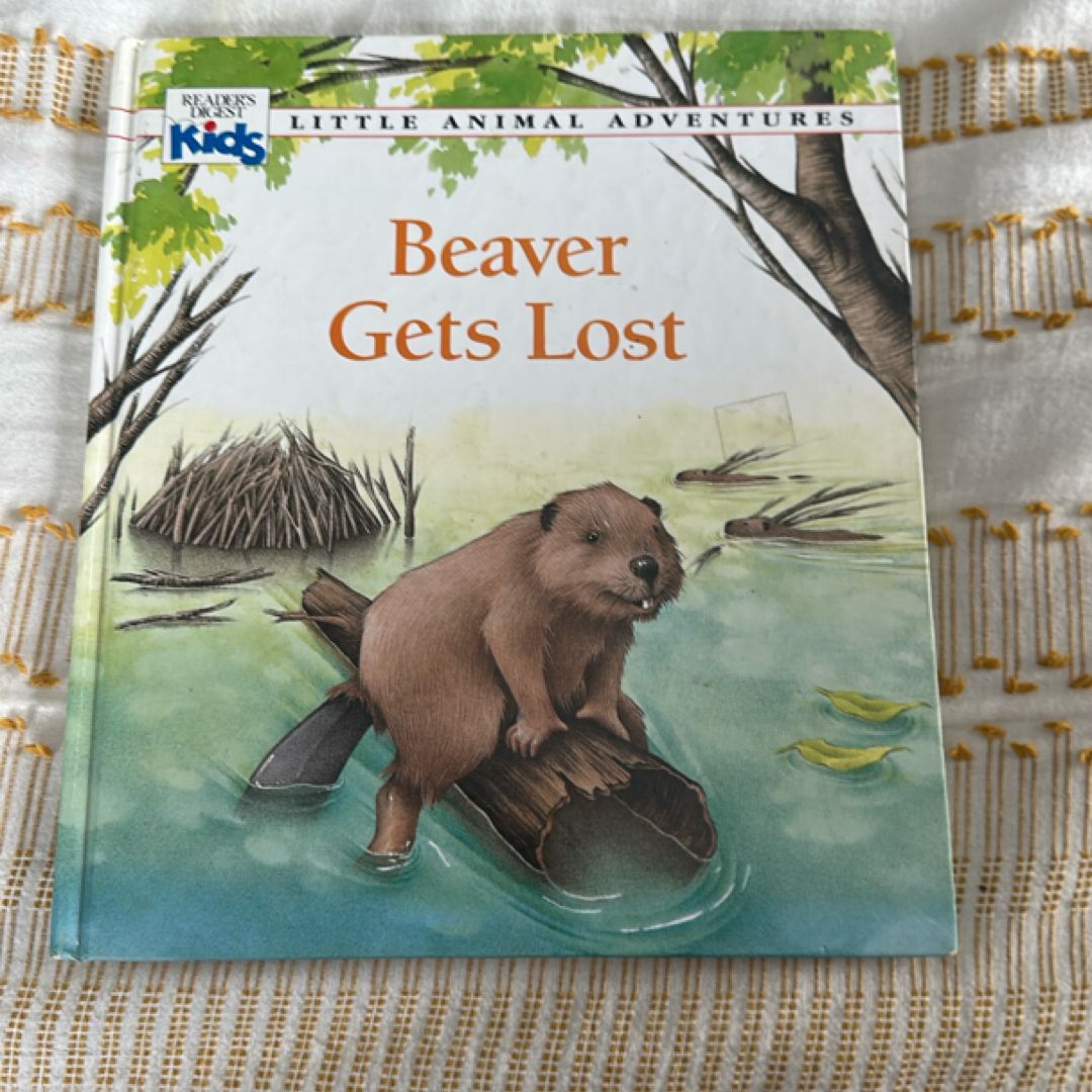 Beaver Gets Lost