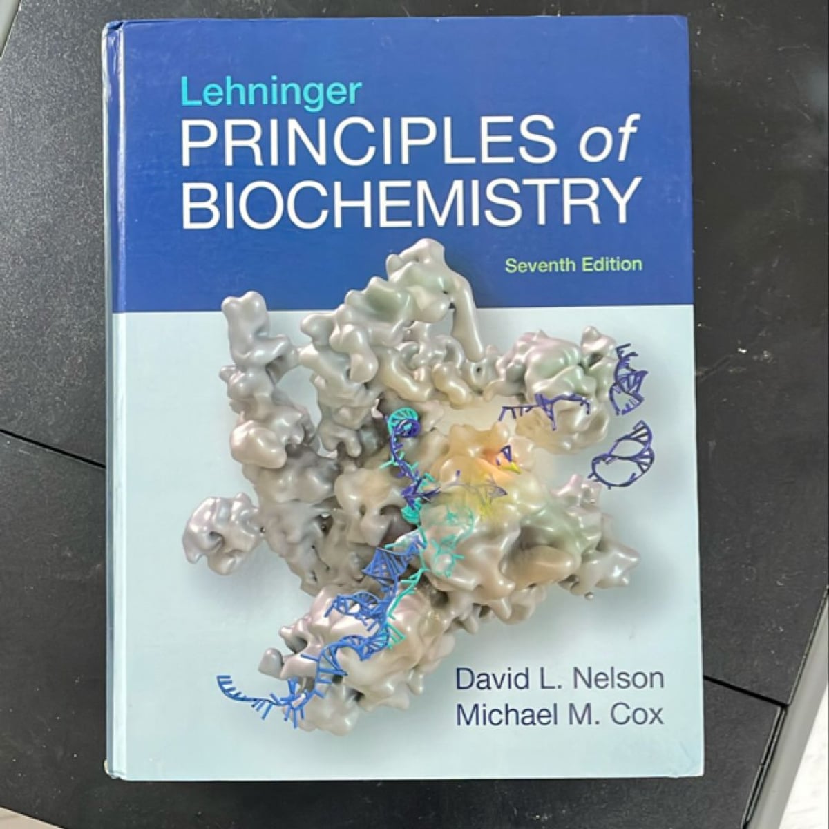 洋書 Lehninger BIOCHEMISTRY Lehninger Principles of Biochemistry: International Edition