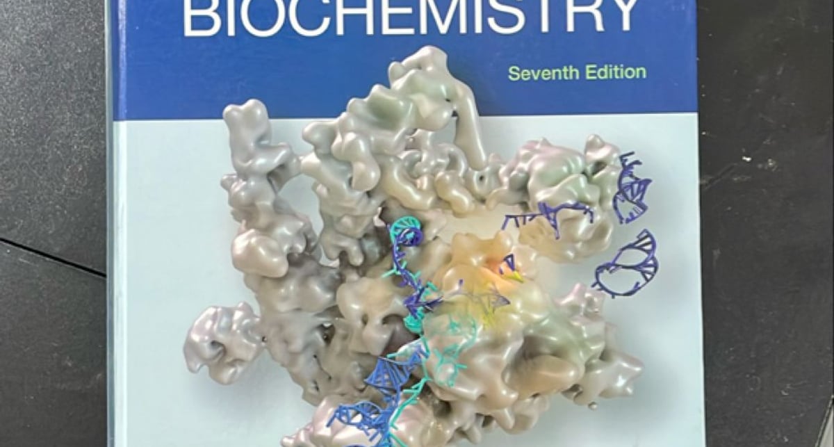 Lehninger Principles of Biochemistry by David L. Nelson; Michael M