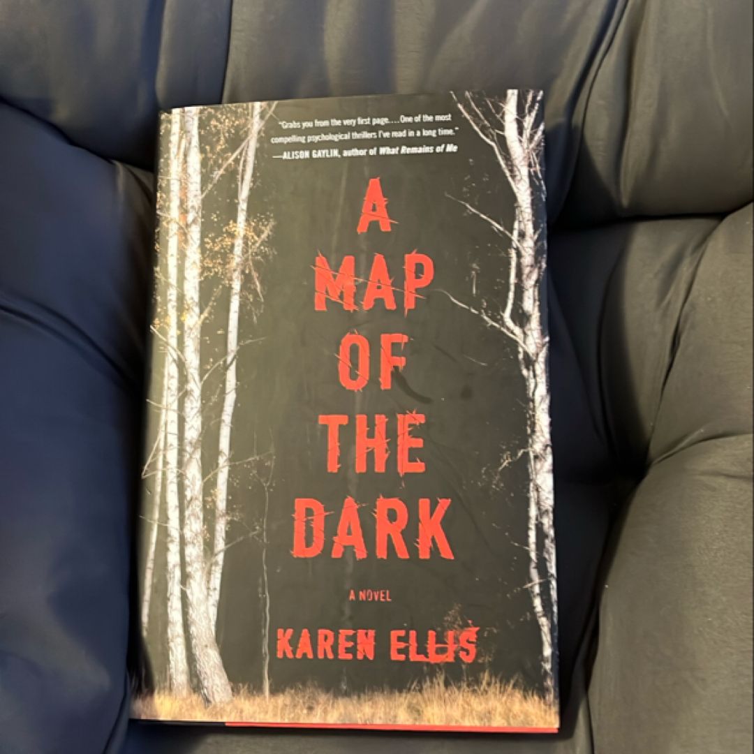 A Map of the Dark