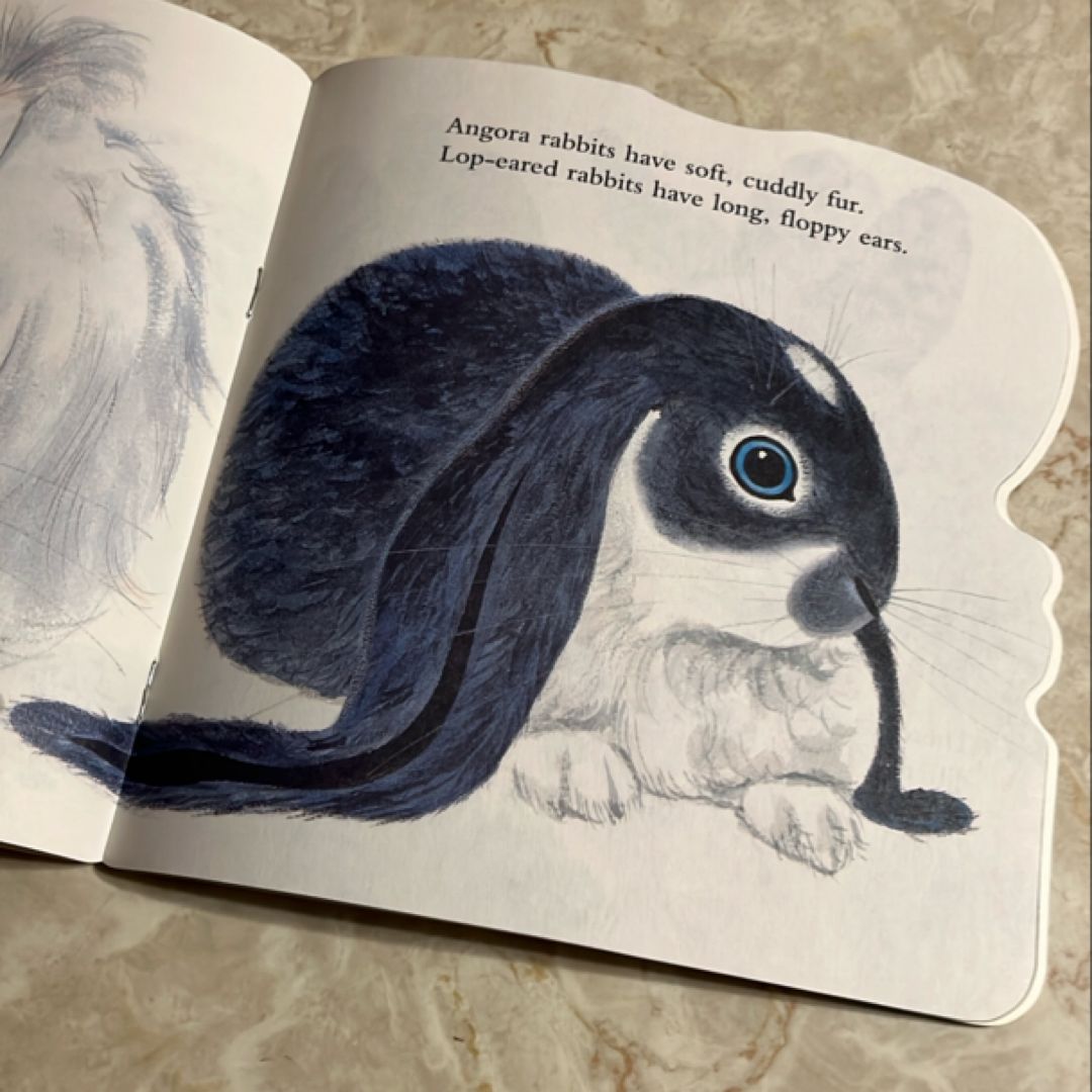 The Bunny Book by Richard Scarry