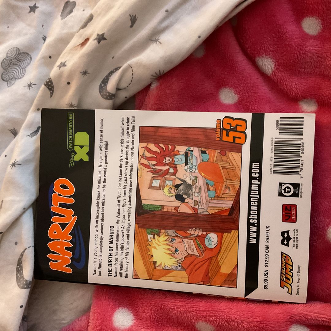Naruto, Vol. 53 by Masashi Kishimoto, Paperback | Pangobooks