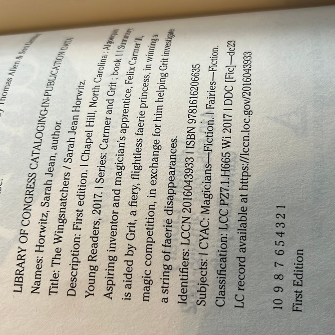 Carmer and Grit, Book One: the Wingsnatchers