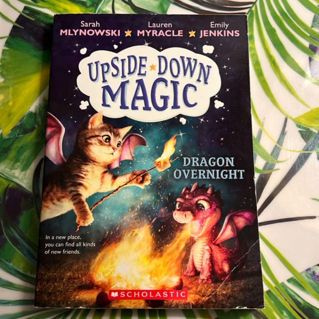 Dragon Overnight