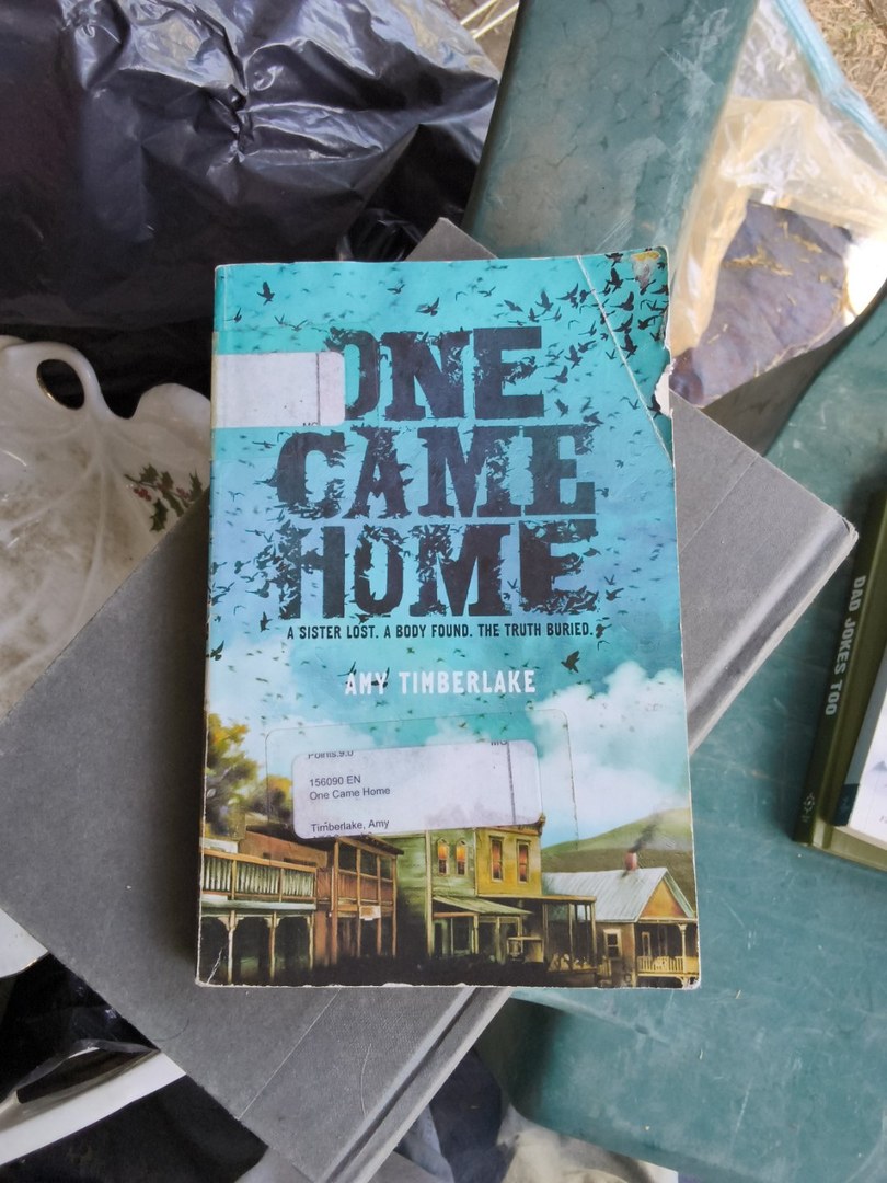 One Came Home