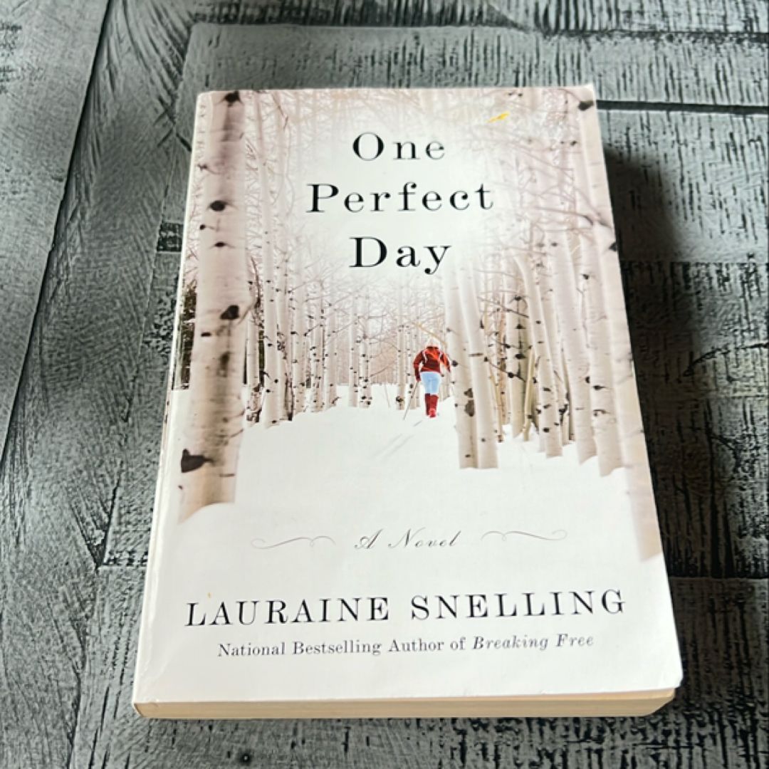 One Perfect Day