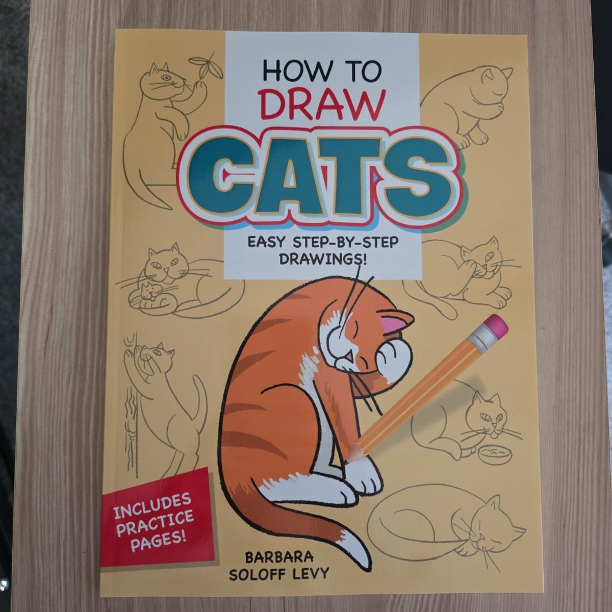 How to Draw Cats by Barbara Soloff Levy